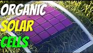 Everything You Need To Know About Organic Solar Cells 2024 | AI-Automated |