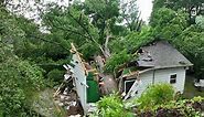 Aftermath of 600-year-old oak tree splitting house in half in Arkansas