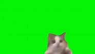 Happy Happy Cat meme template | Theafrojkhan
