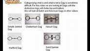 Horse Gag Bits | Features, Functions, Pros and Cons.