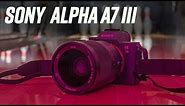 Sony Alpha a7 III Hands-On Review | B&H Photo