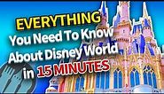 Everything You Need To Know About Disney World in 15 Minutes