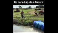 It's Not A Bug, It's A Feature || A Programming Meme