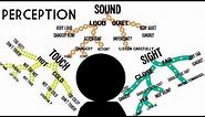 Sensation & Perception: Information Processing in the Brain