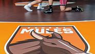 Wrestling mat decals | Sticker Mule