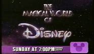 The Disney Channel Programming Breaks (March 28/29, 1993)