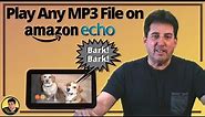 Play Any MP3 file on your Amazon Echo Device