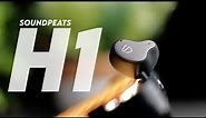 Hybrid Multi-Driver Earbuds! Soundpeats H1