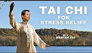 Tai Chi for Stress & Anxiety Relief | Tai Chi for Beginners with Master Pei