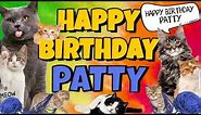 Happy Birthday Patty! Crazy Cats Say Happy Birthday Patty (Very Funny)
