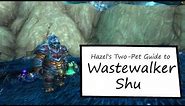 Wastewalker Shu: WoW Pet Battle Powerlevel Guide
