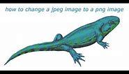how to change a jpeg image into a png image