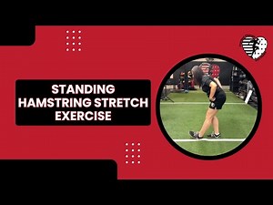Standing Hamstring Stretch Exercise