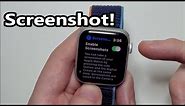 Apple Watch How to Screenshot & View (Series 6 & others)