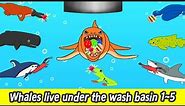 [EN] Whales live under the wash basin 1~5, 39min, cartoons for kids, whales adventureㅣCoCosToy