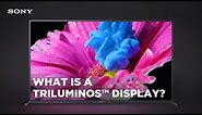 What is a TRILUMINOS™ Display?
