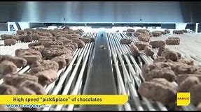 Episode 7 - M-430iA robots in Food Industry. "Pick&Place" of chocolates (WOW Technology)