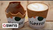 Eco-friendly coffee shop introduces edible cups to cut down on waste | SWNS
