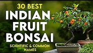 30 best fruit tree for bonsai in India | bonsai tree for beginners | bonsai plant identification