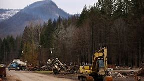 ODOT awards contract to remove trees from wildfire areas