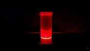 Simple Synthesis of Lead Halide Perovskite Quantum Dots