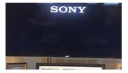 Sony Bravia TV stuck on boot up screen. Anyone know how to correct it?