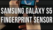 Samsung Galaxy S5 - fingerprint sensor / scanner explained