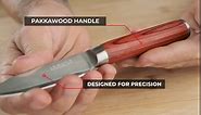 Damascus Paring Knife, 3.5 inch Japanese VG-10 Stainless Steel Super Sharp Small Kitchen Knives With Pakkawood Handle