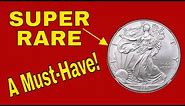 Super rare 1996 American Eagle silver dollar worth money!
