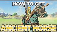 How to Get the Ancient Horse Armor in Breath of the Wild, The Champions Ballad | Austin John Plays