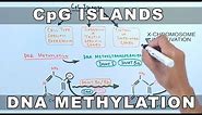 CpG Islands and DNA Methylation