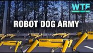Boston Dynamics' four-legged Spot robots hot off the production line! | What the Future