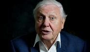 Go vegetarian to save wildlife and the planet, Sir David Attenborough urges