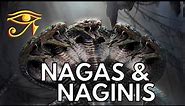 The Nagas & Naginis | Serpentine Beings of Indian Legend