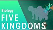The 5 Kingdoms in Classification | Evolution | Biology | FuseSchool