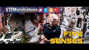 jsc2021m000207-STEMonstrations_Five_Senses_social_orig.mp4