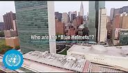 Who are the “Blue Helmets”?