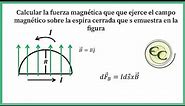 Clase 9-Calcular la Fuerza magnética sobre un alambre circular