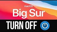 How to Turn Off Mac on macOS Big Sur