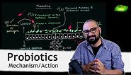 How Probiotics work? | Benefits of Probiotics | Gut Microbes | Basic Science Series