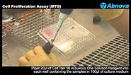 Cell Proliferation Assay (MTS)
