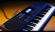 Casio CT-X Series Portable Keyboards with Rich Formidoni