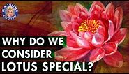 Do You Know? - Why Is Lotus Special? | Importance Of Lotus | Interesting Facts About Lotus
