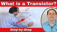 Overview of Transistors, Diodes, Capacitors - Circuit Theory Explained!