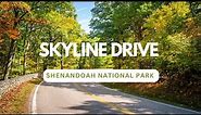 Journey Through the Majestic Skyline Drive | Shenandoah National Park, Virginia, USA |