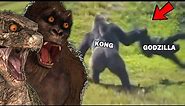 FUNNIEST Godzilla vs Kong MEMES with KONG!