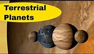 Terrestrial Planets in Order