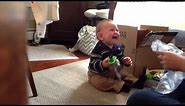 Best Baby Laugh Ever