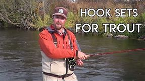 Various Hook Sets for Trout - Dry Fly, Nymph & Streamer