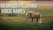 10 Unique Palomino Horse Name Ideas